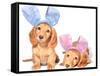 Easter Bunny Dachshunds Puppies-Hannamariah-Framed Stretched Canvas