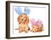 Easter Bunny Dachshunds Puppies-Hannamariah-Framed Photographic Print