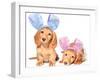Easter Bunny Dachshunds Puppies-Hannamariah-Framed Photographic Print
