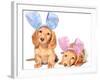 Easter Bunny Dachshunds Puppies-Hannamariah-Framed Photographic Print