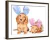 Easter Bunny Dachshunds Puppies-Hannamariah-Framed Photographic Print