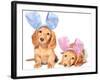 Easter Bunny Dachshunds Puppies-Hannamariah-Framed Photographic Print