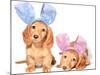 Easter Bunny Dachshunds Puppies-Hannamariah-Mounted Photographic Print