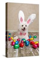 Easter Bunny Dog With Chocolate Easter Eggs-lovleah-Stretched Canvas