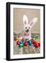 Easter Bunny Dog With Chocolate Easter Eggs-lovleah-Framed Photographic Print