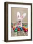 Easter Bunny Dog With Chocolate Easter Eggs-lovleah-Framed Photographic Print