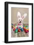 Easter Bunny Dog With Chocolate Easter Eggs-lovleah-Framed Photographic Print