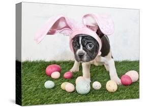 Easter Bunny Puppy-JStaley401-Stretched Canvas