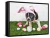 Easter Bunny Puppy-JStaley401-Framed Stretched Canvas