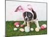 Easter Bunny Puppy-JStaley401-Mounted Photographic Print