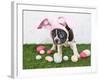 Easter Bunny Puppy-JStaley401-Framed Photographic Print