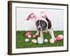 Easter Bunny Puppy-JStaley401-Framed Photographic Print