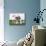 Easter Bunny Puppy-JStaley401-Mounted Photographic Print displayed on a wall