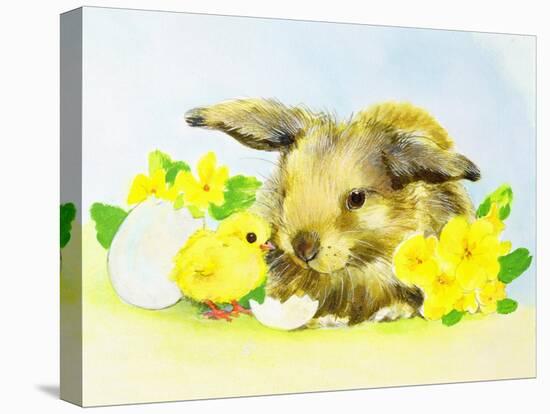 Easter Bunny with Primrose and Chick-Diane Matthes-Stretched Canvas