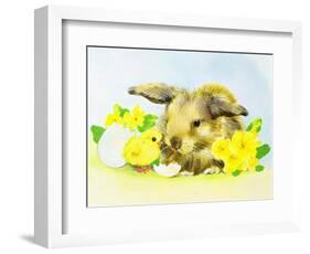 Easter Bunny with Primrose and Chick-Diane Matthes-Framed Giclee Print