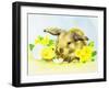 Easter Bunny with Primrose and Chick-Diane Matthes-Framed Giclee Print