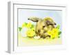 Easter Bunny with Primrose and Chick-Diane Matthes-Framed Giclee Print