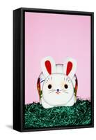 Easter Bunny-Josh Westrich-Framed Stretched Canvas