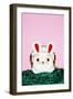 Easter Bunny-Josh Westrich-Framed Photographic Print