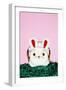 Easter Bunny-Josh Westrich-Framed Photographic Print