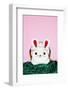 Easter Bunny-Josh Westrich-Framed Photographic Print