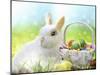 Easter Bunny-Arnica Burnstone-Mounted Giclee Print