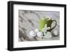 Easter Decoration with Green Cup-Andrea Haase-Framed Photographic Print