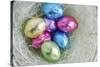Easter Egg Candies in Nest-null-Stretched Canvas