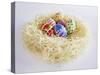 Easter Eggs in a Nest-Milk Photographie-Stretched Canvas