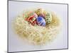 Easter Eggs in a Nest-Milk Photographie-Mounted Photographic Print