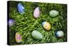 Easter Eggs on Grass-Tim Pannell-Stretched Canvas