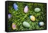 Easter Eggs on Grass-Tim Pannell-Framed Stretched Canvas