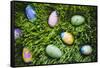 Easter Eggs on Grass-Tim Pannell-Framed Stretched Canvas