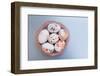 Easter eggs, ornaments, geometrical, copper, Easter nest-mauritius images-Framed Photographic Print