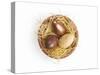 Easter Eggs-null-Stretched Canvas