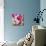 Easter Eggs-null-Mounted Photographic Print displayed on a wall