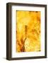 Easter fire-Nadja Jacke-Framed Photographic Print