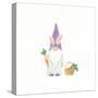 Easter Gnomes IV Bright-Jenaya Jackson-Stretched Canvas