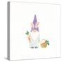 Easter Gnomes IV Bright-Jenaya Jackson-Stretched Canvas