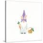 Easter Gnomes IV Bright-Jenaya Jackson-Stretched Canvas