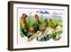 Easter Hens-null-Framed Art Print