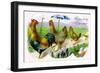 Easter Hens-null-Framed Art Print