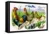 Easter Hens-null-Framed Stretched Canvas