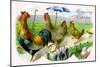 Easter Hens-null-Mounted Premium Giclee Print