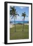 Easter Island. Rapa Nui NP, Anakena and Ahu Nau Nau. Moai Statues-Cindy Miller Hopkins-Framed Photographic Print