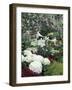 Easter Lilies and Hydrangea Flowers-Adam Jones-Framed Photographic Print