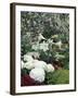 Easter Lilies and Hydrangea Flowers-Adam Jones-Framed Photographic Print