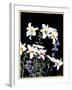 "Easter Lilies,"April 1, 1933-Nelson Grofe-Framed Giclee Print