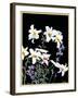 "Easter Lilies,"April 1, 1933-Nelson Grofe-Framed Giclee Print