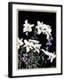 "Easter Lilies,"April 1, 1933-Nelson Grofe-Framed Giclee Print